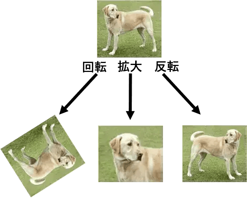 画像認識AIの精度を上げるテクニック【中級者向け】 3