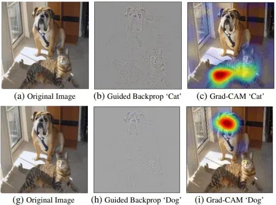 画像認識AIの精度を上げるテクニック【中級者向け】 6