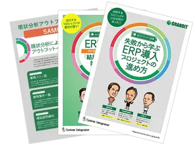 ebook_erp_guide-1
