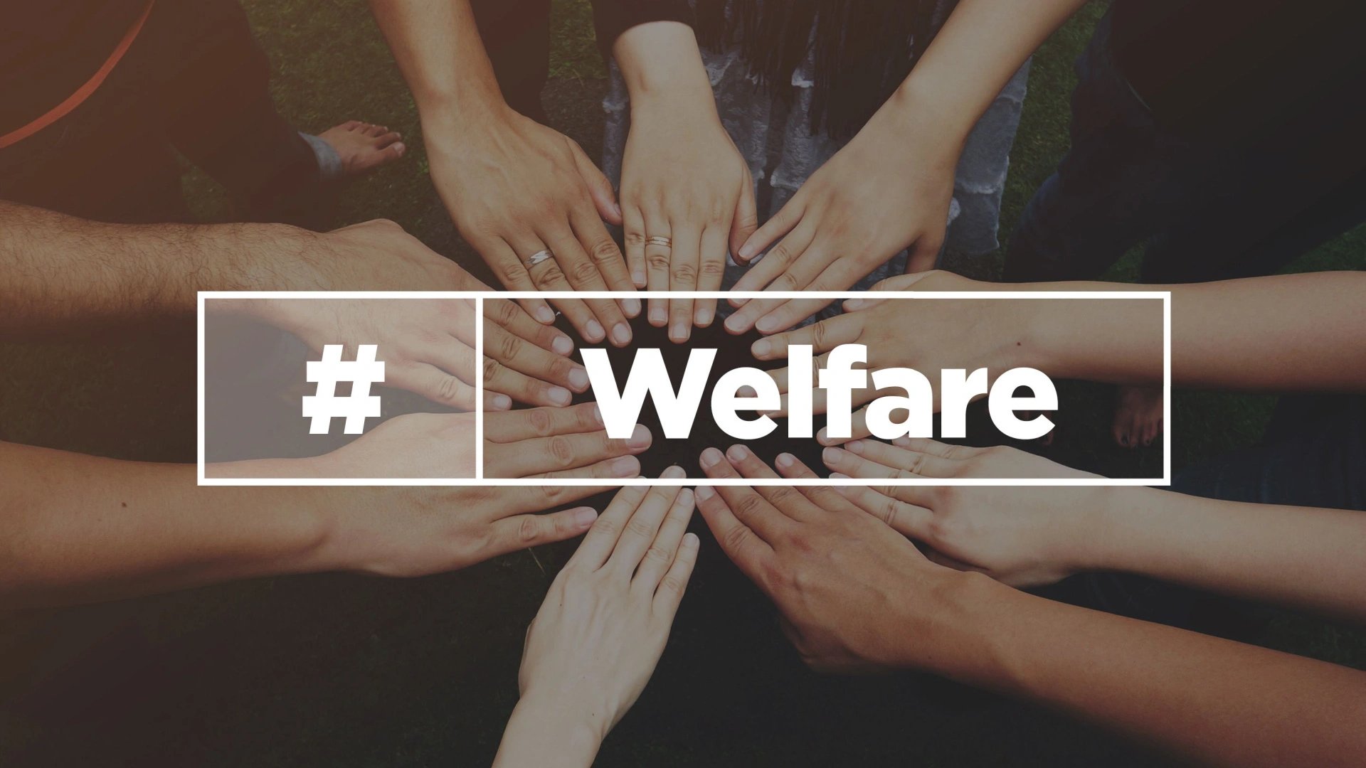 welfare-programs
