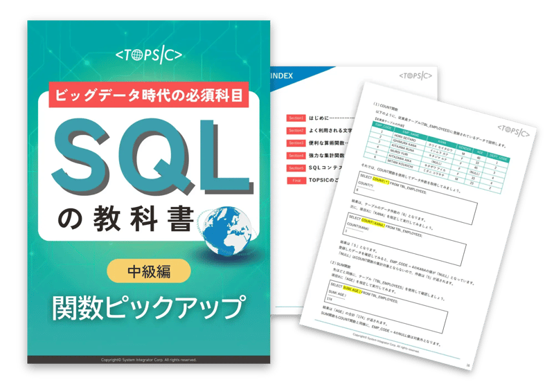 sql_textbook_intermediate_function