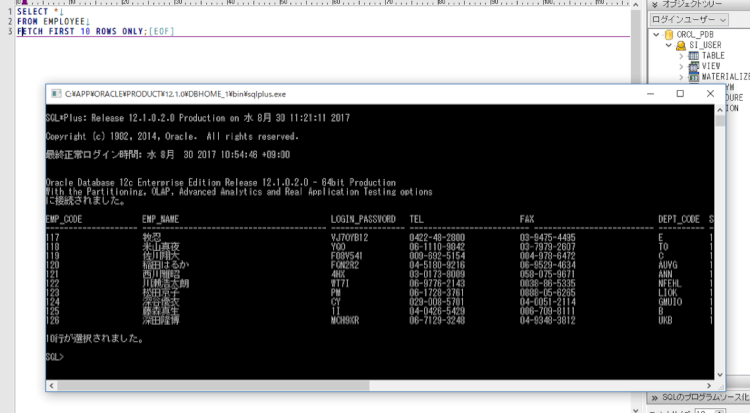 Shell Sqlplus 実行 – Sqlplus コマンド実行 – TDYARW