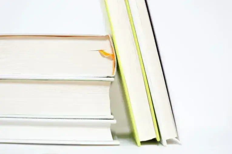 プロジェクトマネージャーが絶対に読んでおきたいプロジェクト管理の本