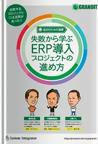 proceed-erp-implementation-project-02