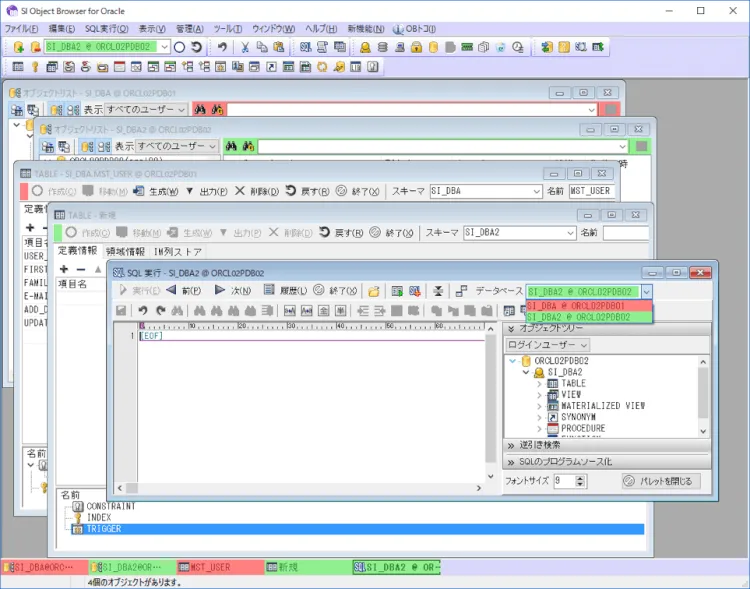 Oracle ログイン先ごとに画面の色を変えてみる 4