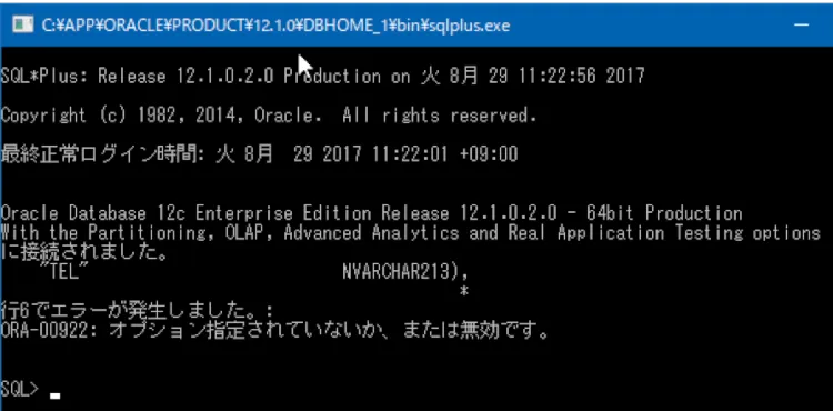 Oracleエラー発生箇所をSQL*Plus連携で見抜く 3