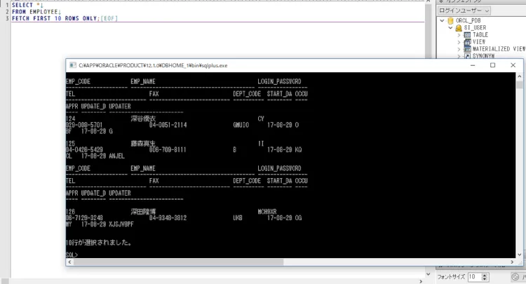 Oracleエラー発生箇所をSQL*Plus連携で見抜く 5
