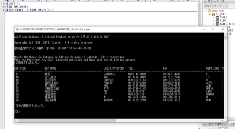 Oracleエラー発生箇所をSQL*Plus連携で見抜く 6