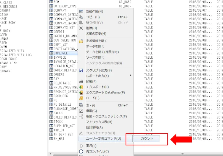 Oracle 運用にも便利！「ユーザー定義コマンド」でラクチン実行 3